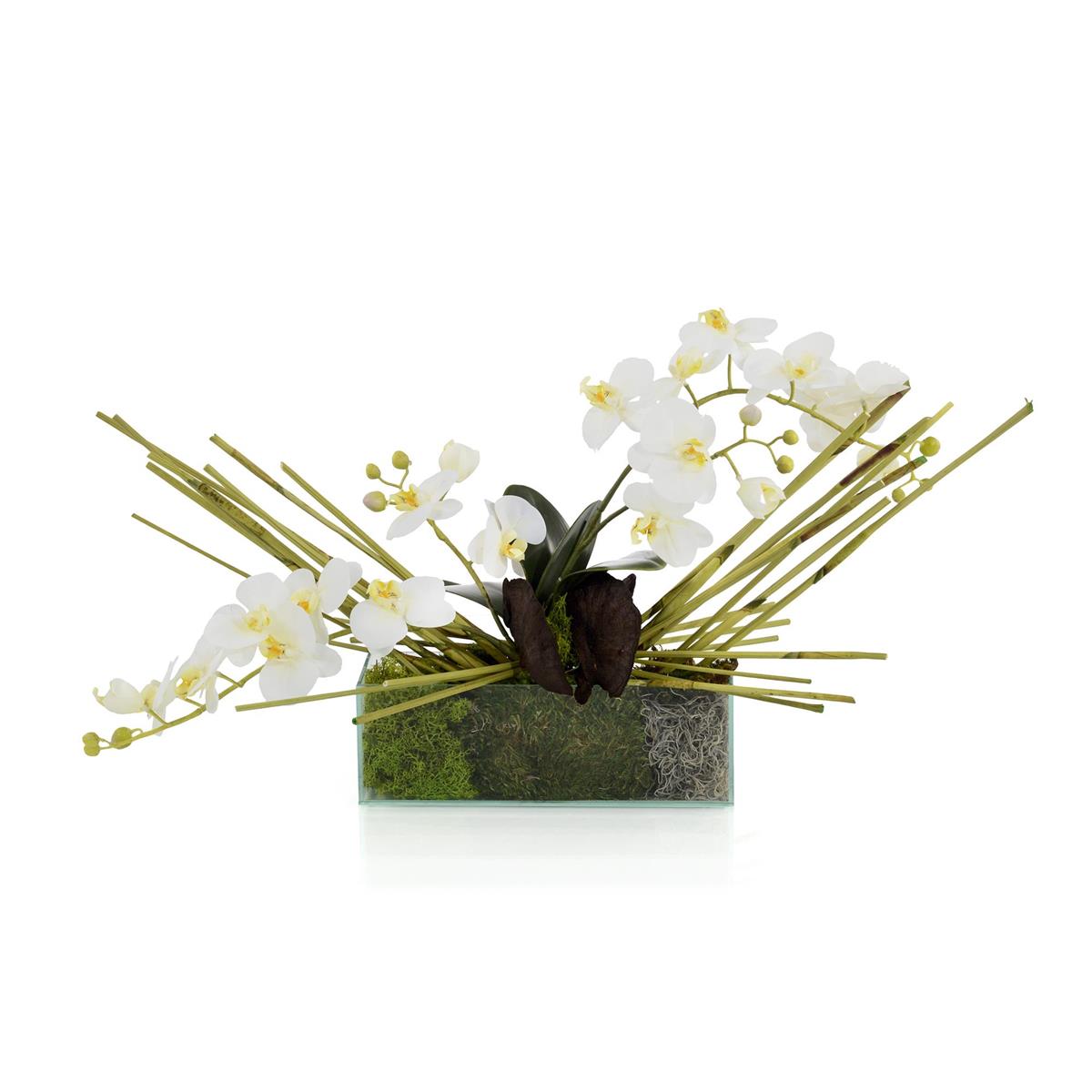 MOSSY ORCHID