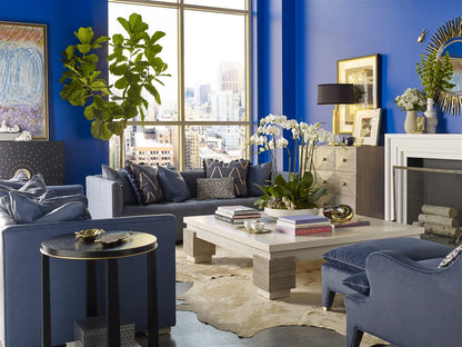 NETWORK SOFA