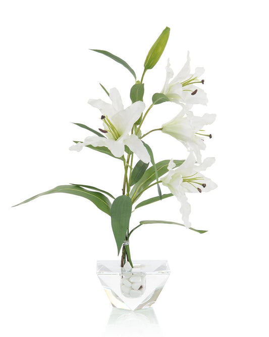 LILY CRYSTALS