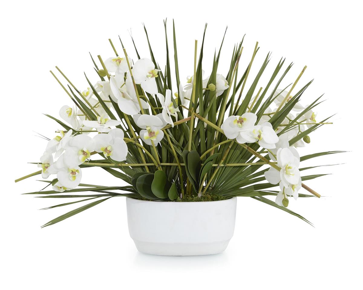 TRELLIS PHALAENOPSIS