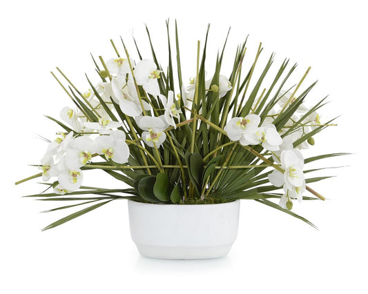 TRELLIS PHALAENOPSIS