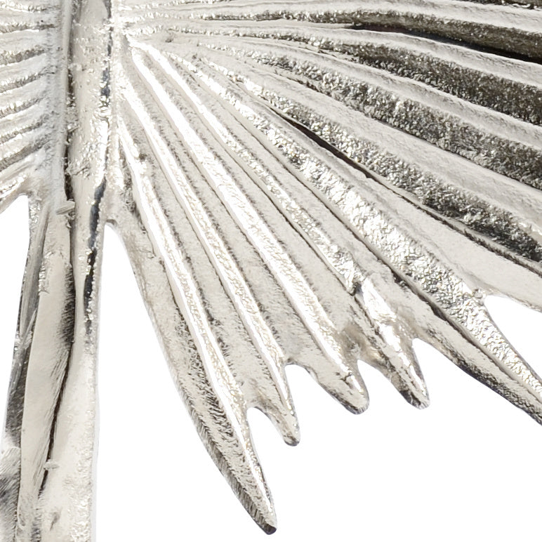FAN PALM