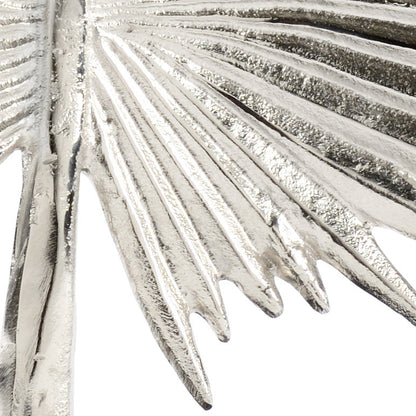 FAN PALM